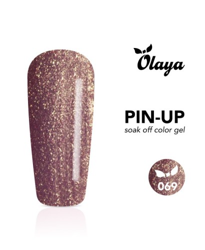 Pin-Up Gel Color, Rose Gold 069