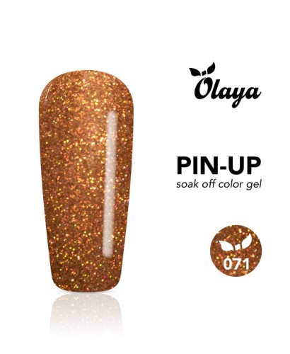 Pin-Up Gel Color, Bronze 071